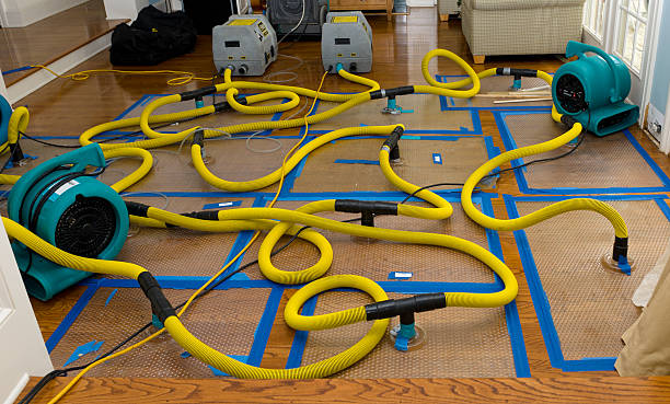 Professional Water Extraction technician working in Marietta, MS
